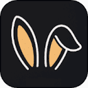 Bunni
