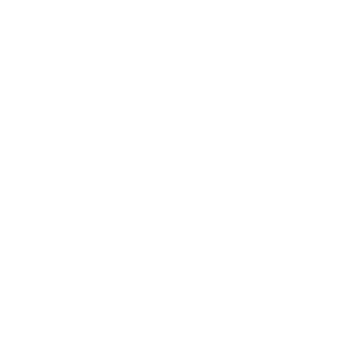 Vega X